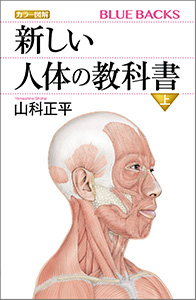 カラー図解　新しい人体の教科書　上