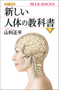 カラー図解　新しい人体の教科書　下